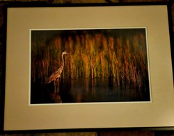 Crane