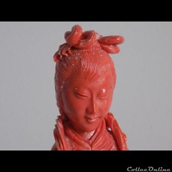 Corail Chine 1