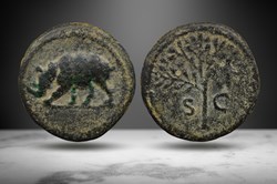 Domitian AE Quadrans (Rhinoceros/Olive branch, RIC II.1 252)