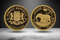 Somalia 2022 AV 20 Shillings (Elephant & calf, Numista 308443)