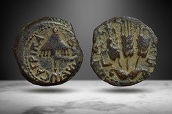 Herod Agrippa I Prutah (Canopy/barley, Hendin 6274)