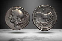 Lucania, Velia AR Didrachm (Athena/Lion, SNG ANS 1292)