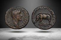 Antoninus Pius AE As (MVNIFICENTIA AVG/Elephant, RIC III 863)