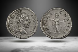 Geta AR Denarius (Providentia, RIC IV 81)