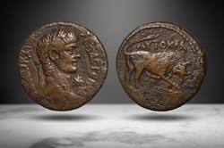 Claudius Diobol (Egypt, Alexandria, RPC 5122)