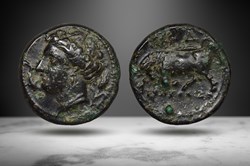 Sicily, Syracuse AE (Kore/bull, CNS II 109/Ds95)