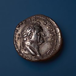 VESPASIEN, DENIER