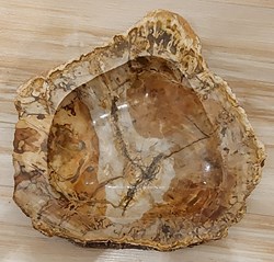 Cendrier en Bois silicifié