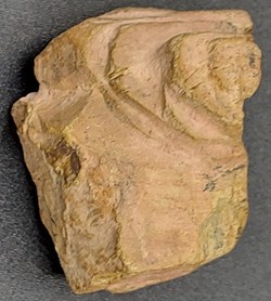 Monazite (Ce)