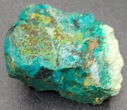 Chrysocolle
