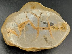 Septaria du Cher (France)