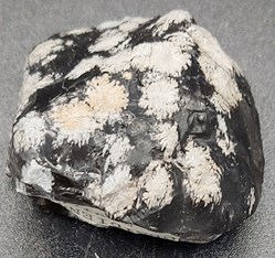 Obsidienne "Flocon de neige"