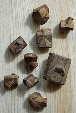 Staurolites maclées diverses