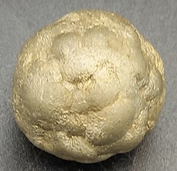 Pyrite aciculaire (Marcassite) en nodule