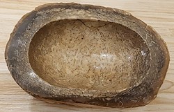 Cendrier en Os de Dinosaure silicifié