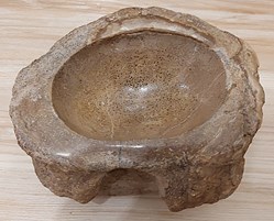 Cendrier en vertèbre de dinosaure silicifié