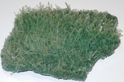 Gypse (Sélénite) buisson de cristaux vert