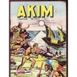 Akim Bimensuel N288