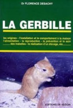 La gerbille
