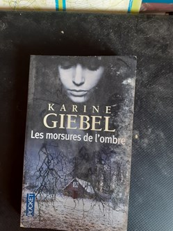 Les morsures de l'ombre