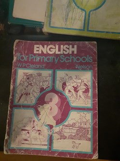 English for Primary schools 3