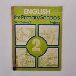 English for primary schools 2