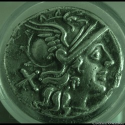 Denier Saufeia