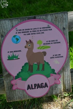 Alpaga