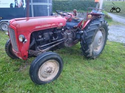 Massey Ferguson MF 35