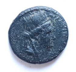 A_Coin 49