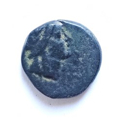 A_Coin 43