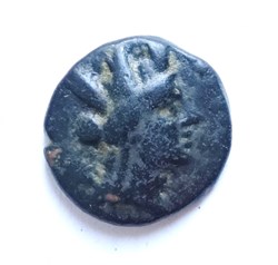 A_Coin 44