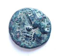 A_Coin 46