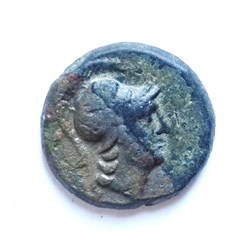A_Coin 40