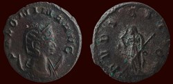 SALONINA AVG / PVDICITIA