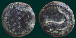 Petit bronze au dauphin, tête à gauche - PBM-71-1