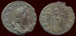 SALONINA AVG / VENVS VICTRIX