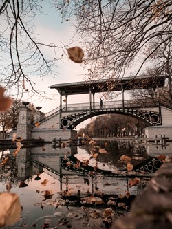pont en automne