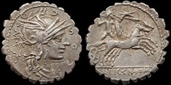 158- République, Cosconia (Caius Malleolus), Narbonne
