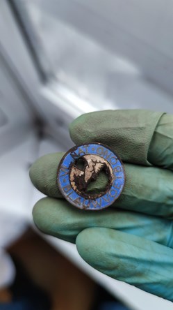 Vlaamsch-Nationale Blauwvoetbond