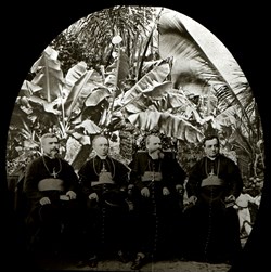 Plaque photographique 17