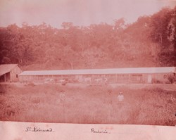 Album photo 68-St Léonard vacherie
