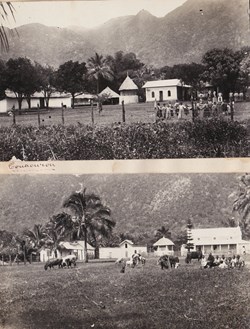 Album photo 105-Touaourou2 (Yaté)