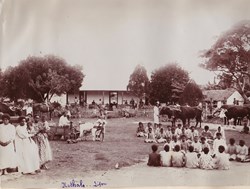 Album photo 34-Lifou Nathalo 1