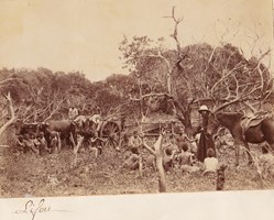 Album photo 37-Lifou avec T