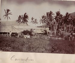 Album photo 82- Conception