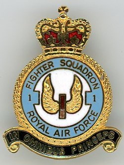 Insigne R.A.F - 1° Squadron