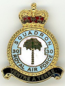 Insigne R.A.F - 30° Squadron (XXX°)