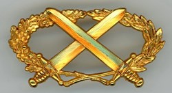 Brevet Militaire Professionnel BMP2