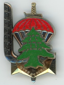 Insigne Opération Diodon IV